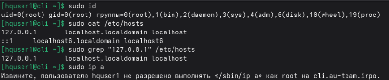 sudo_cli.png